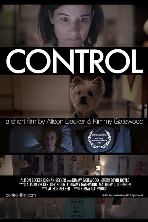 Poster of the movie Control