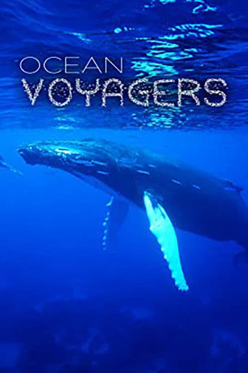 Poster of the movie Ocean Voyagers