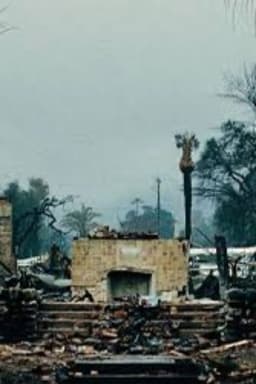 Poster of the movie 1517685