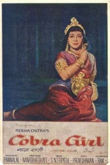 Poster of the movie 685123