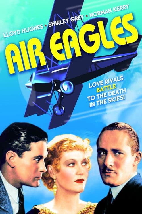 Poster of the movie Air Eagles